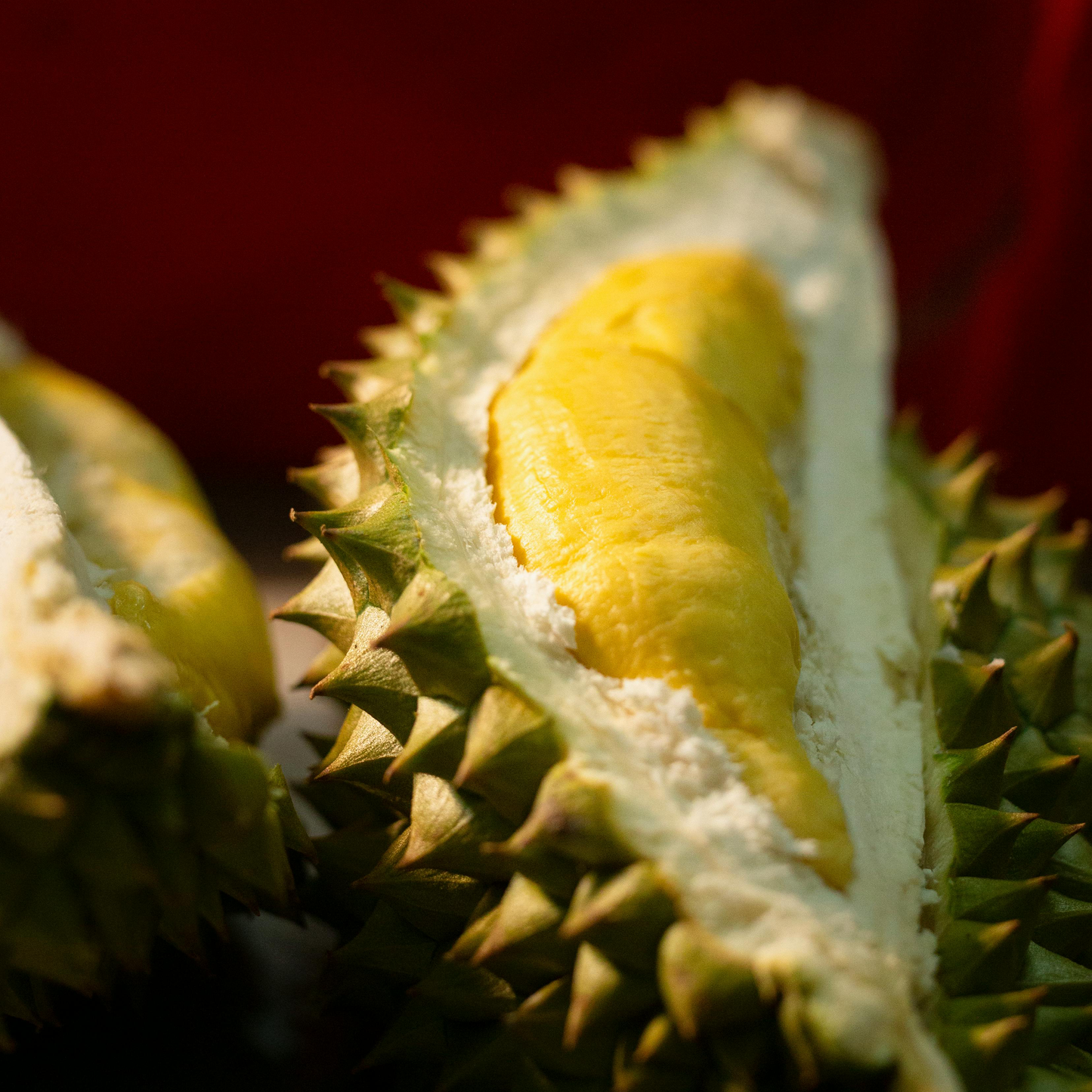 Durian Powder